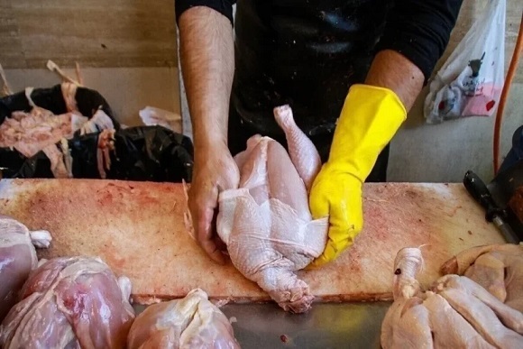 حداکثر قیمت هرکیلو مرغ ۲۸۰ هزار تومان